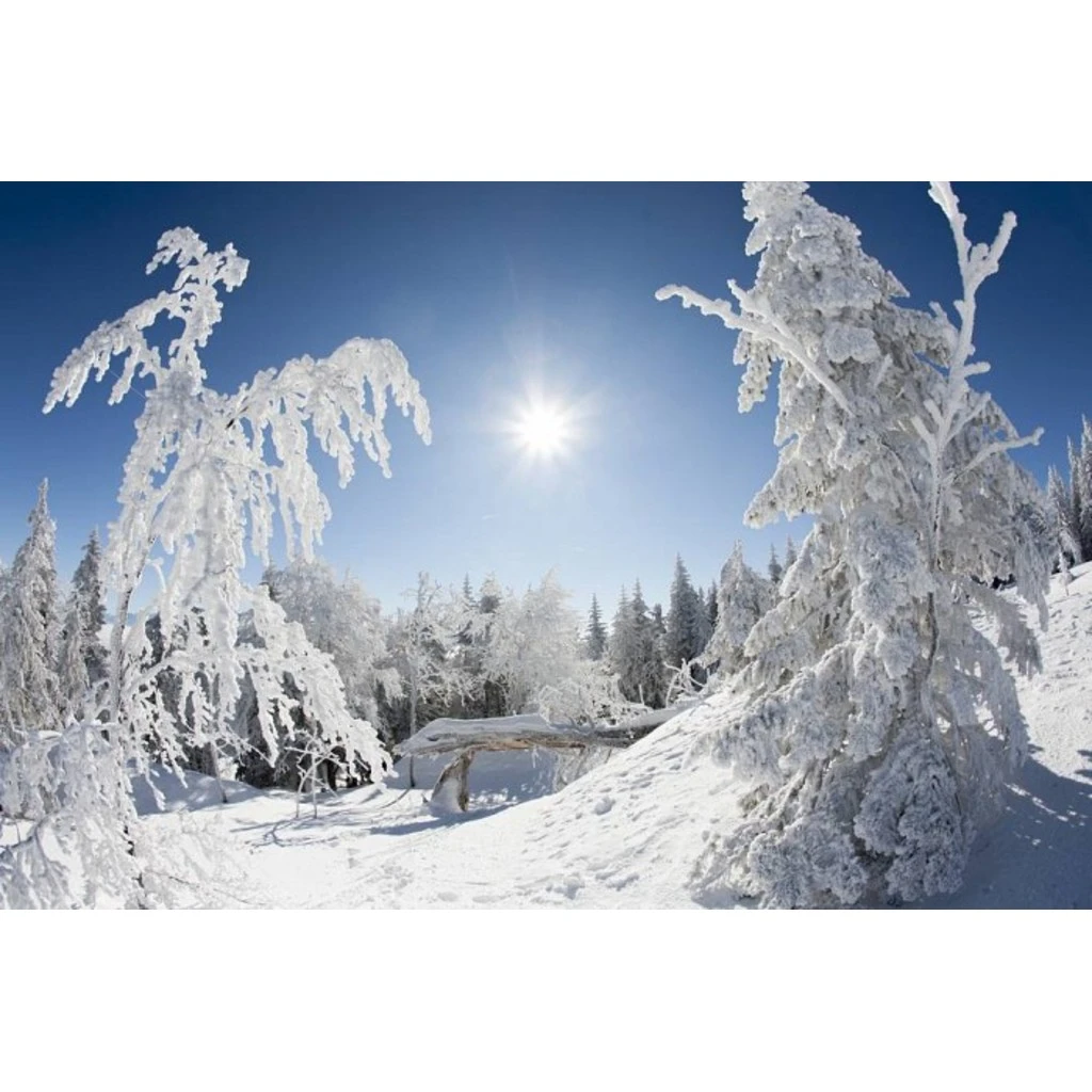 Rossignol BC 68 4 Rossignol BC 68 - Image 2